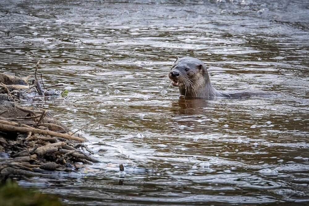 Low level hydro and water-powered heat pumps