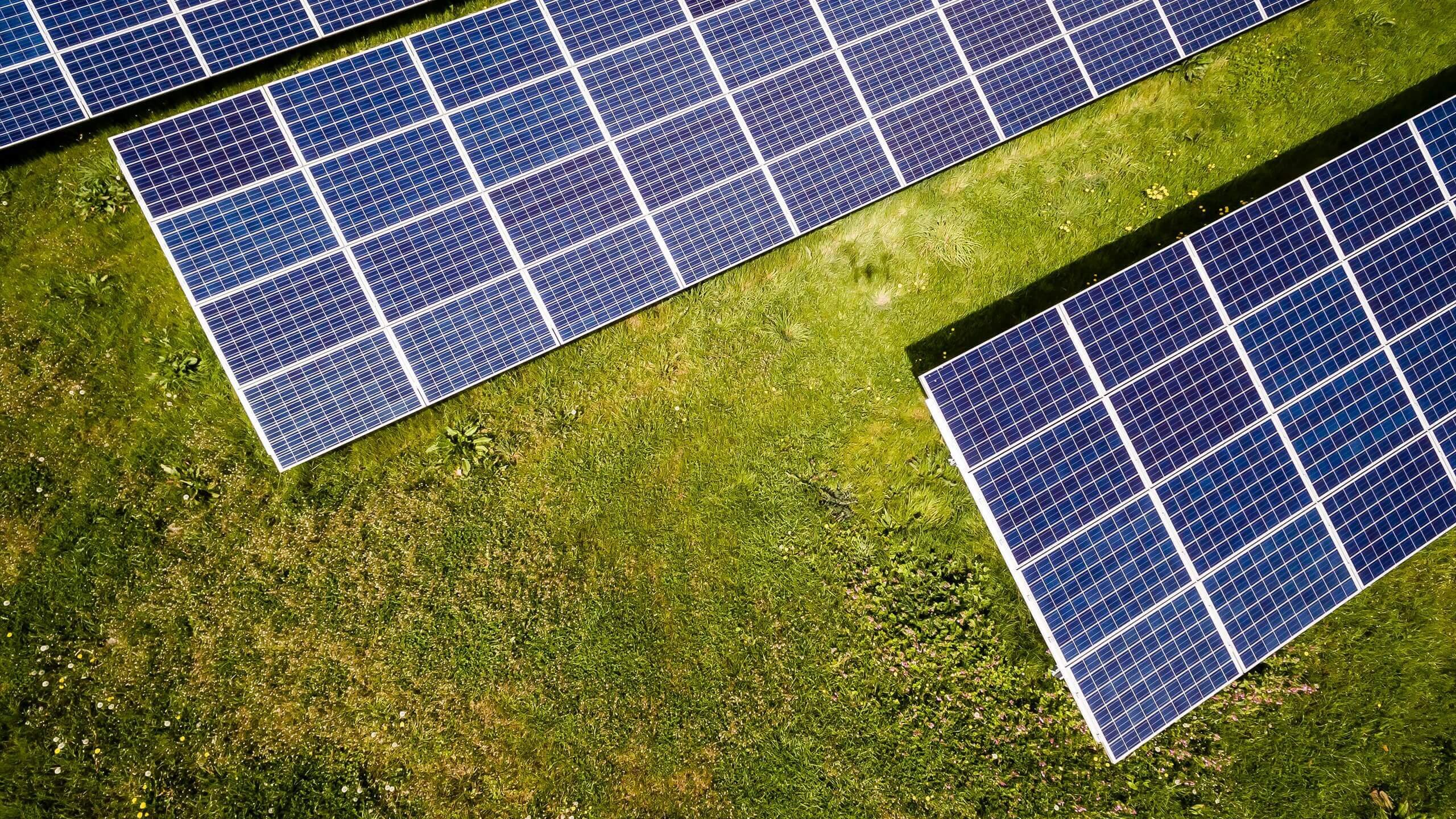 solarpanels Solar panels laid out in a field